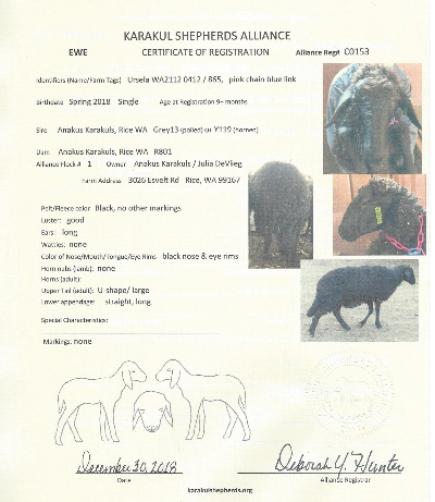 Anakus Ursela Registration Anakus Ursela Registration