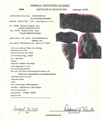 HexenWald Ivan Pedigree